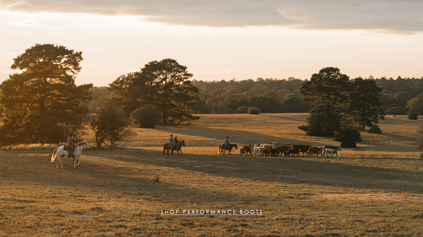 Idyllwind Fueled by Miranda Lambert