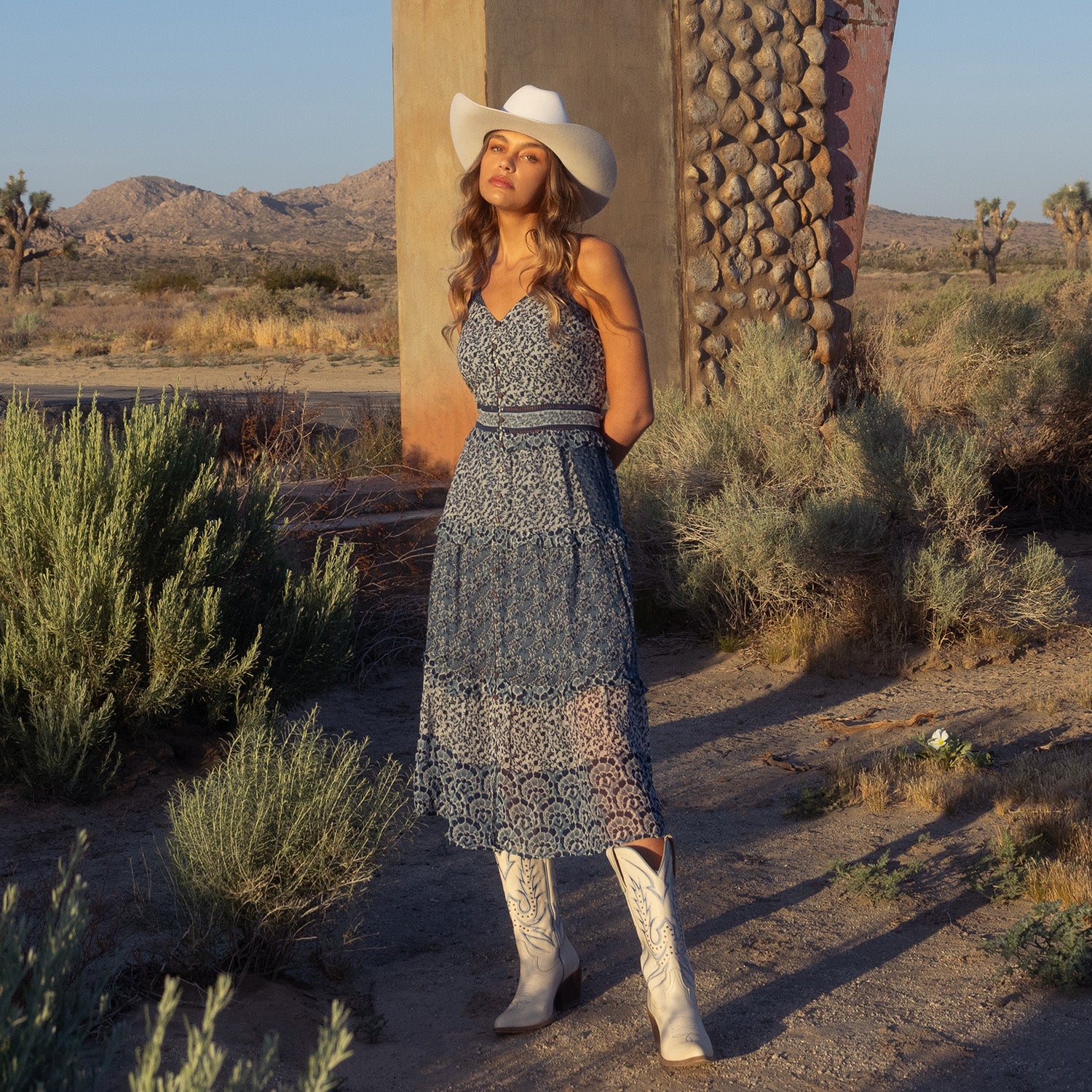Woman in a dress and cowboy hat standing in a desert landscape