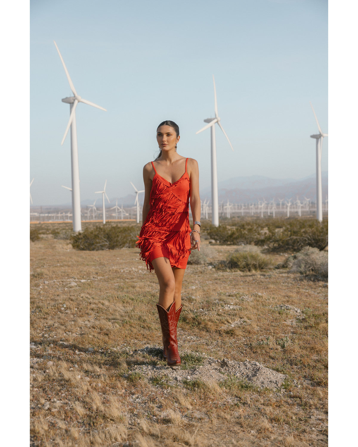 Brixworth Faux Suede Fringe Mini Dress